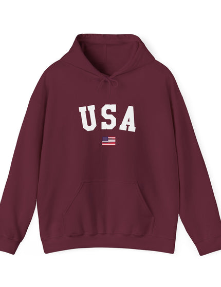 USA Hooded Sweatshirt