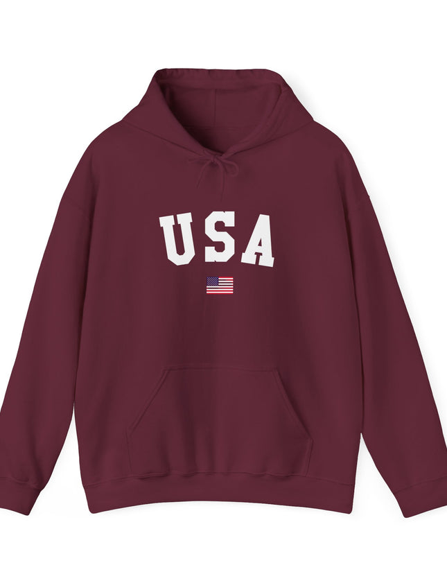 USA Hooded Sweatshirt